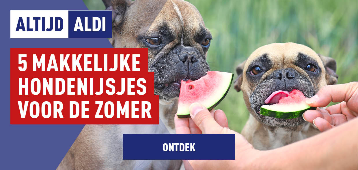 Altijd ALDI hondenijsje