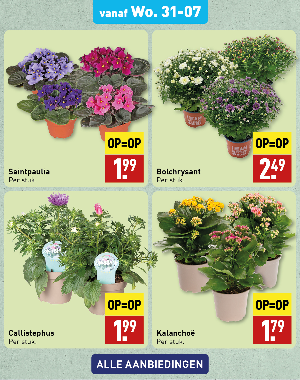 Bloemen en planten