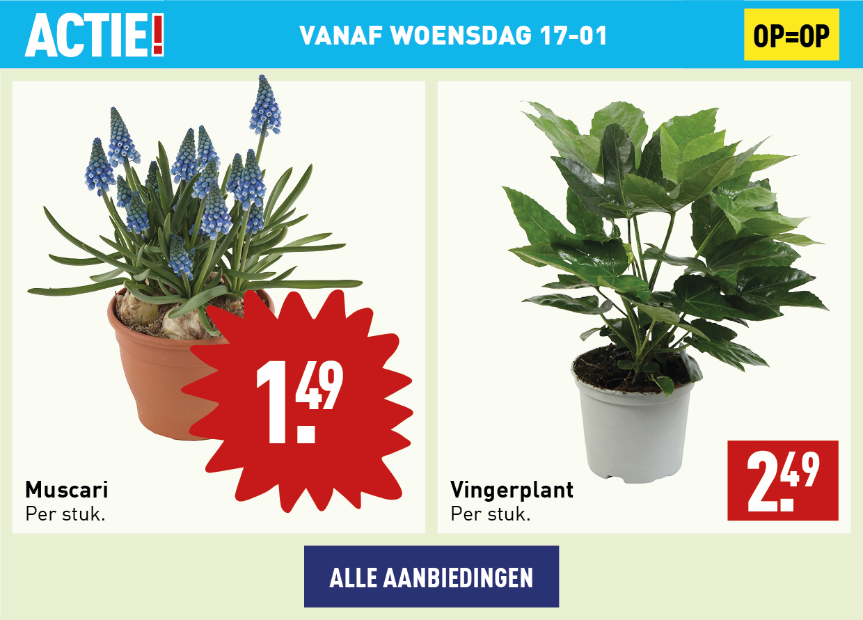 Bloemen en planten