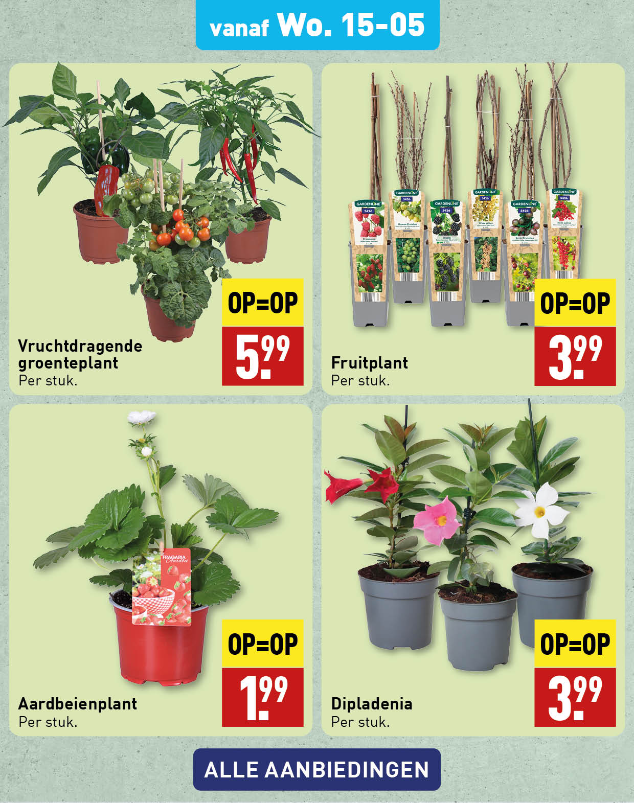 Bloemen en planten