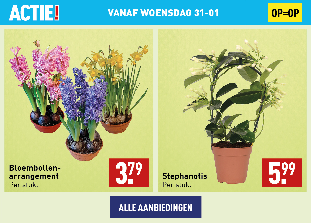 Bloemen en planten