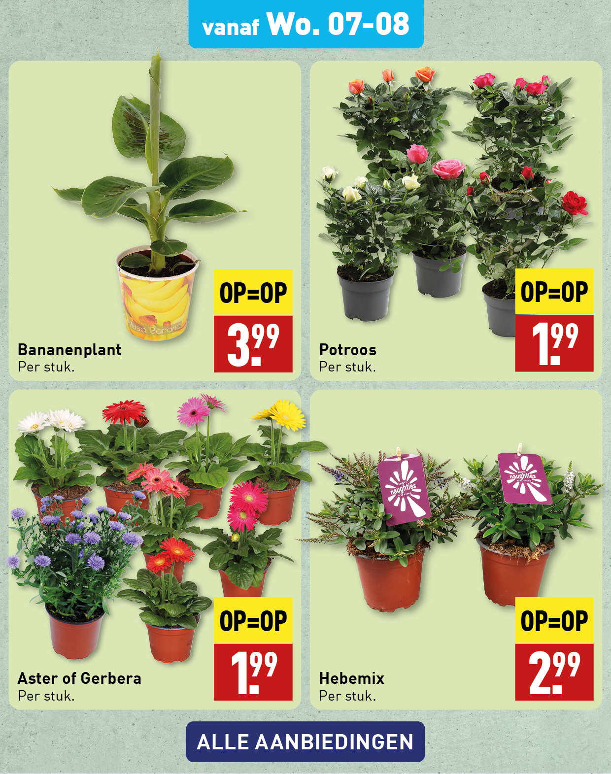 Bloemen en planten