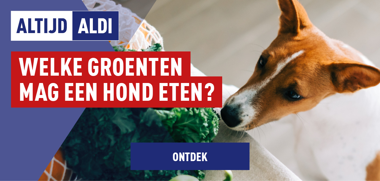 Altijd ALDI welke groente mag een hond eten