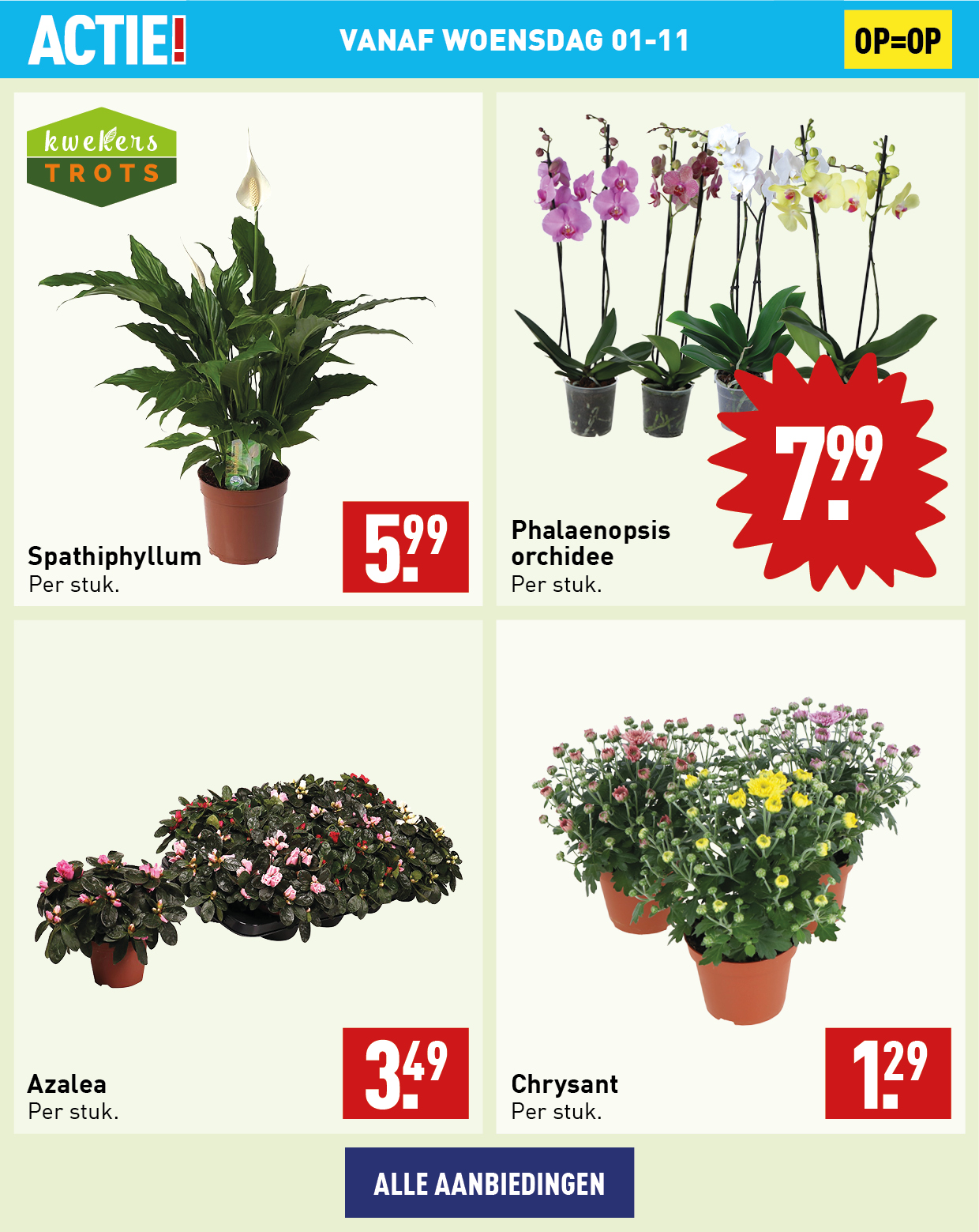 Bloemen en planten