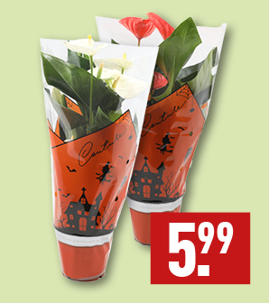 Anthurium