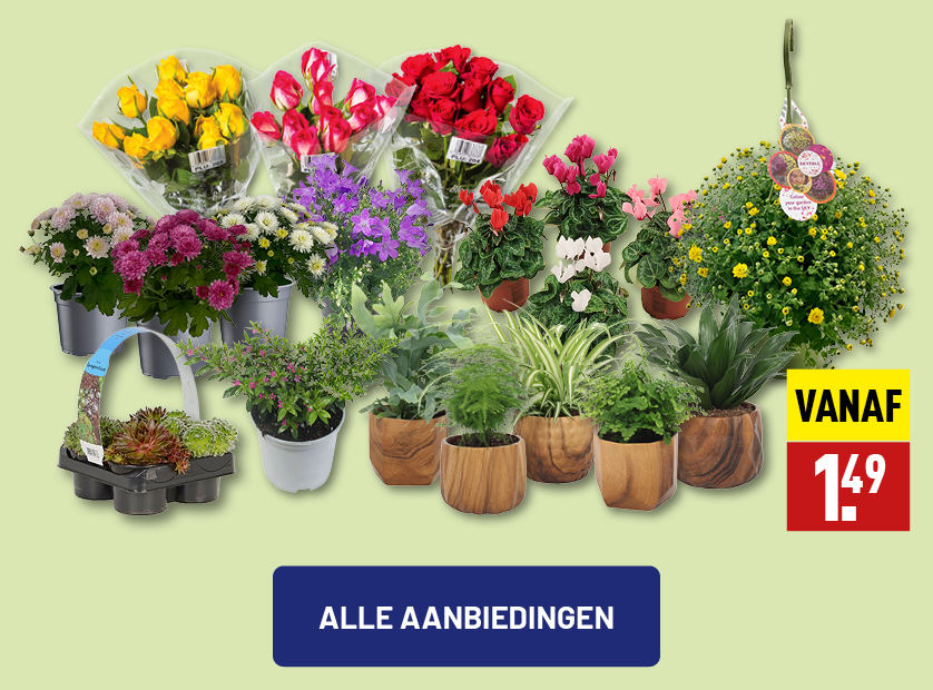 Planten