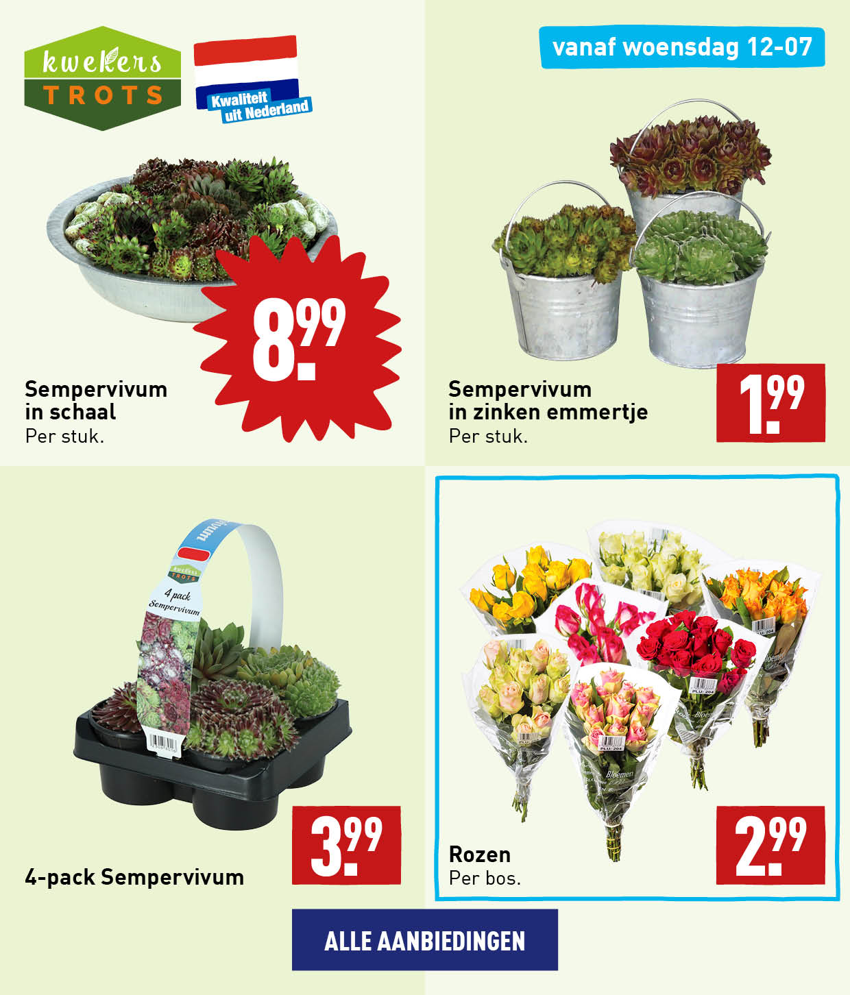 Bloemen en planten