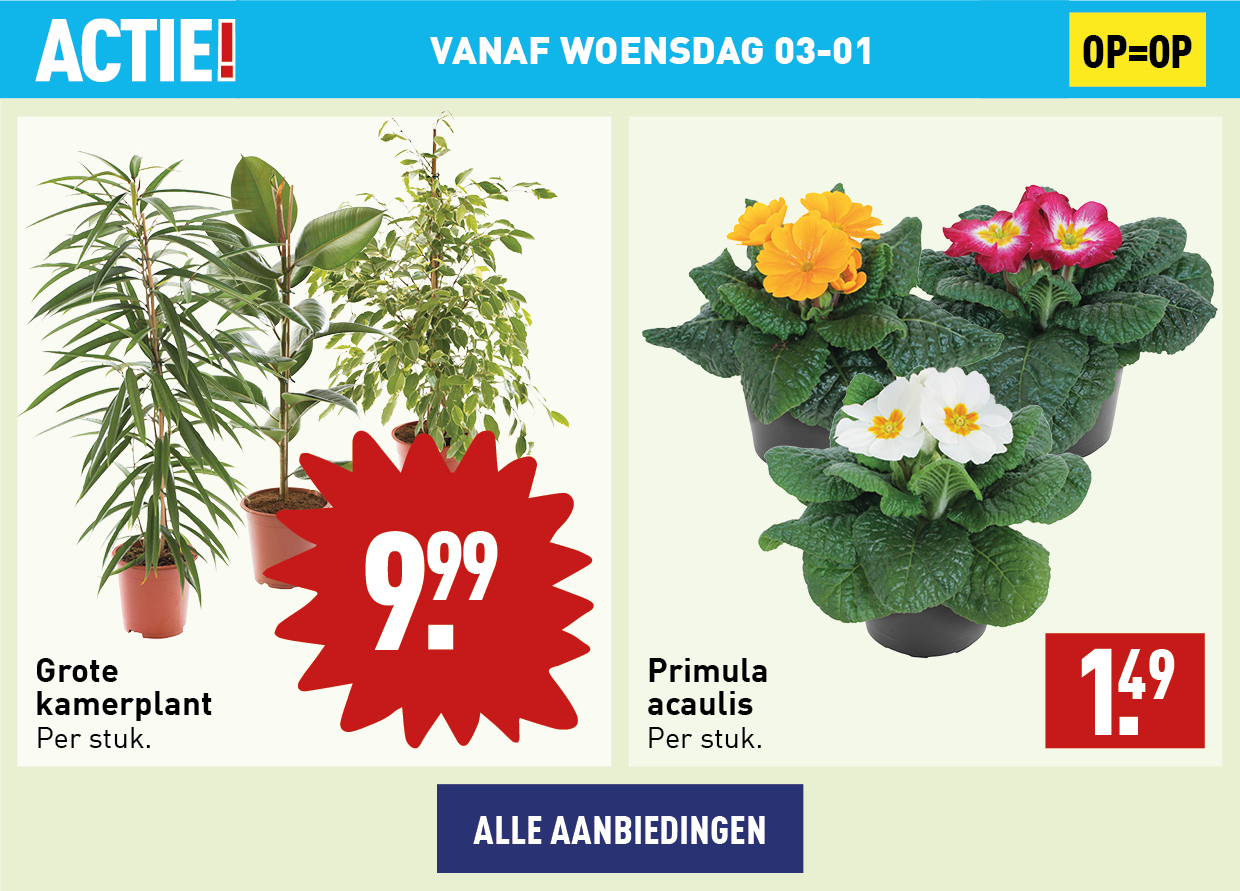 Bloemen en planten