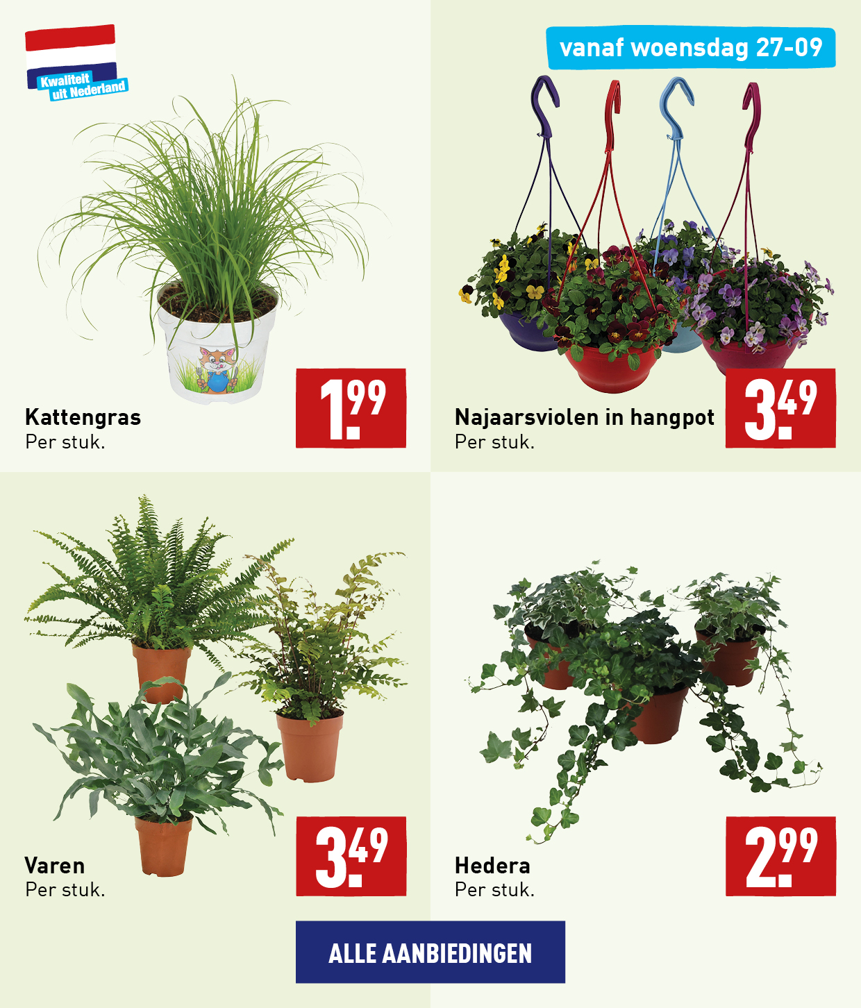 Bloemen en planten