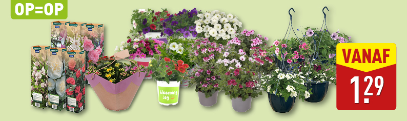 Bloemen en planten