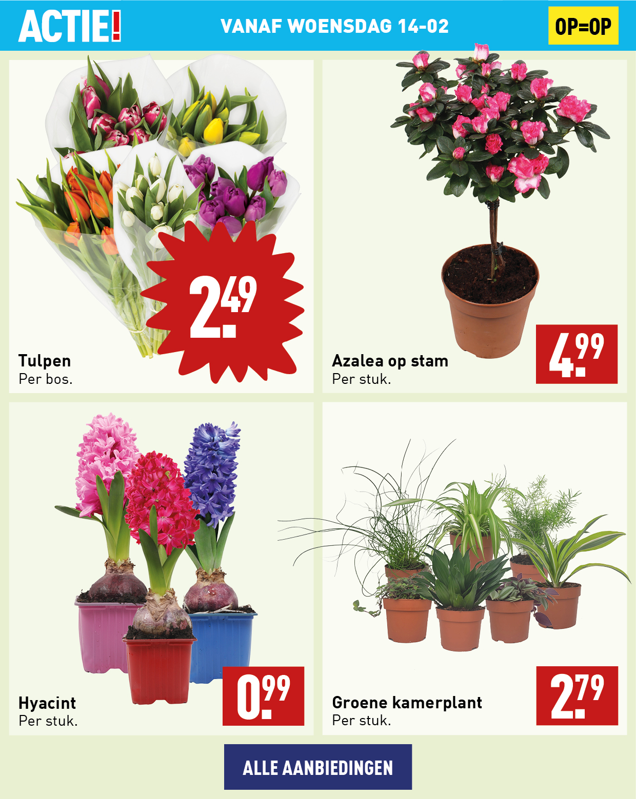 Bloemen en planten