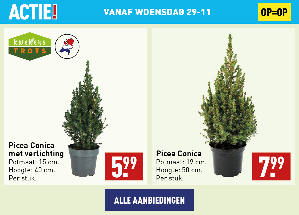 Bloemen en planten