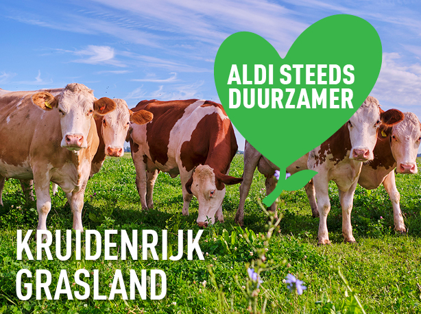 Kruidenrijk grasland