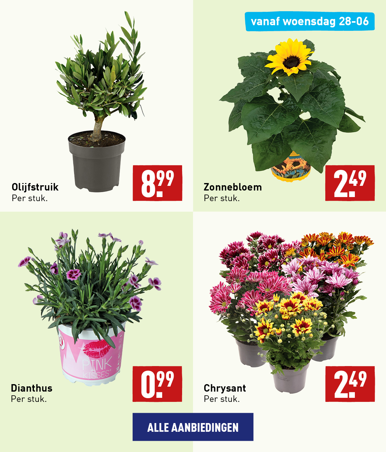 Bloemen en planten
