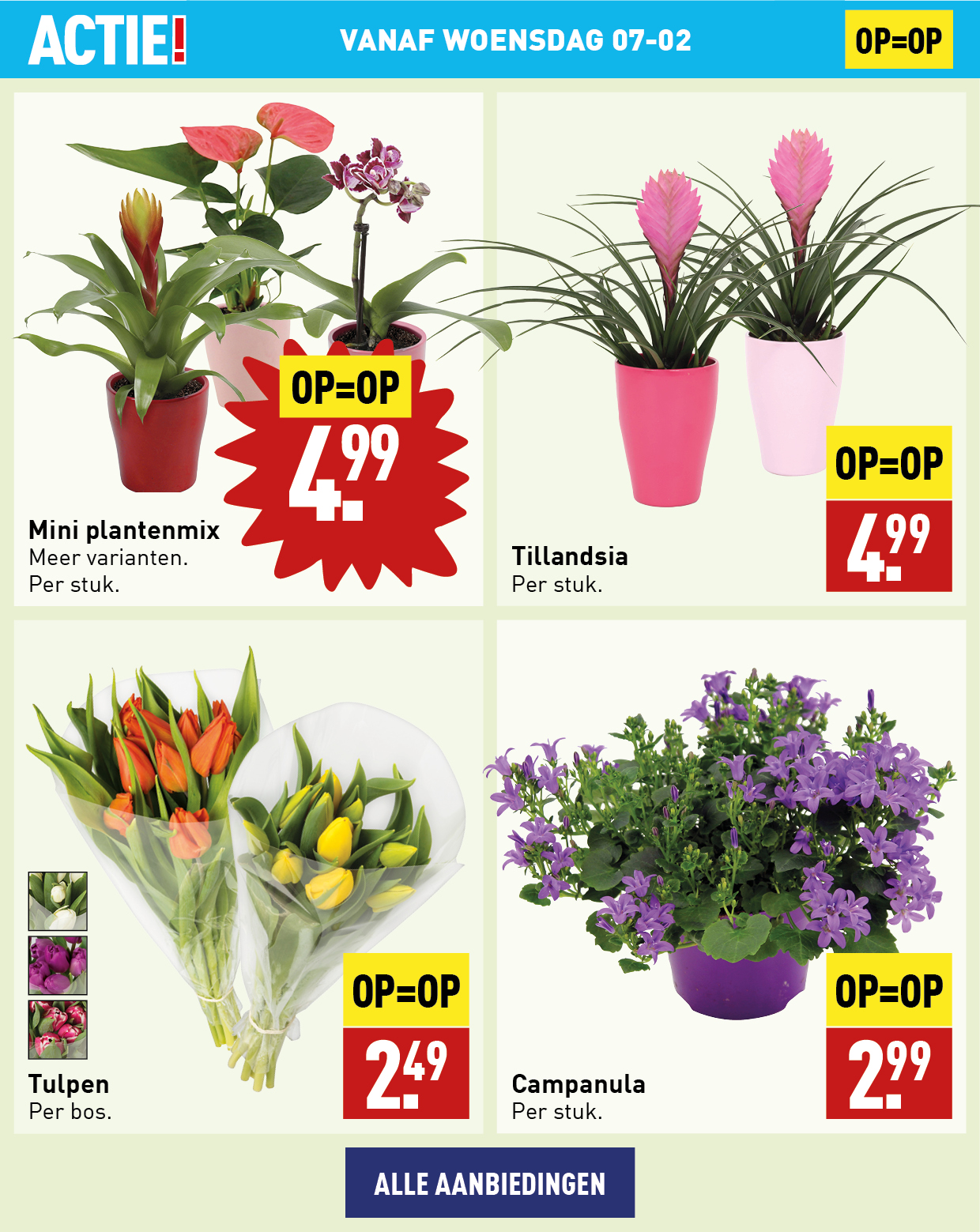 Bloemen en planten