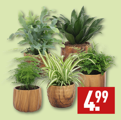 Groenmix