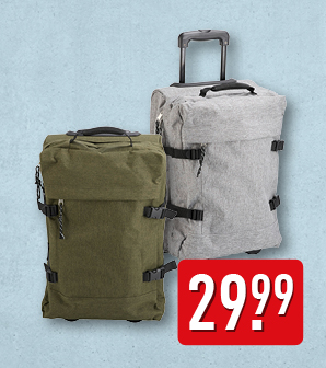 Trolley voor handbagage