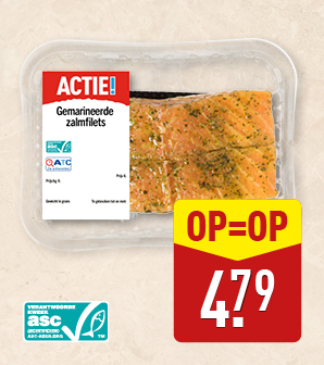 Zalmfilets