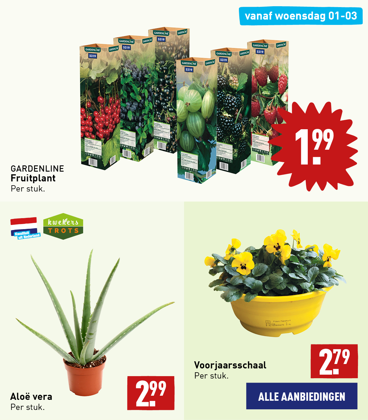 Bloemen en planten