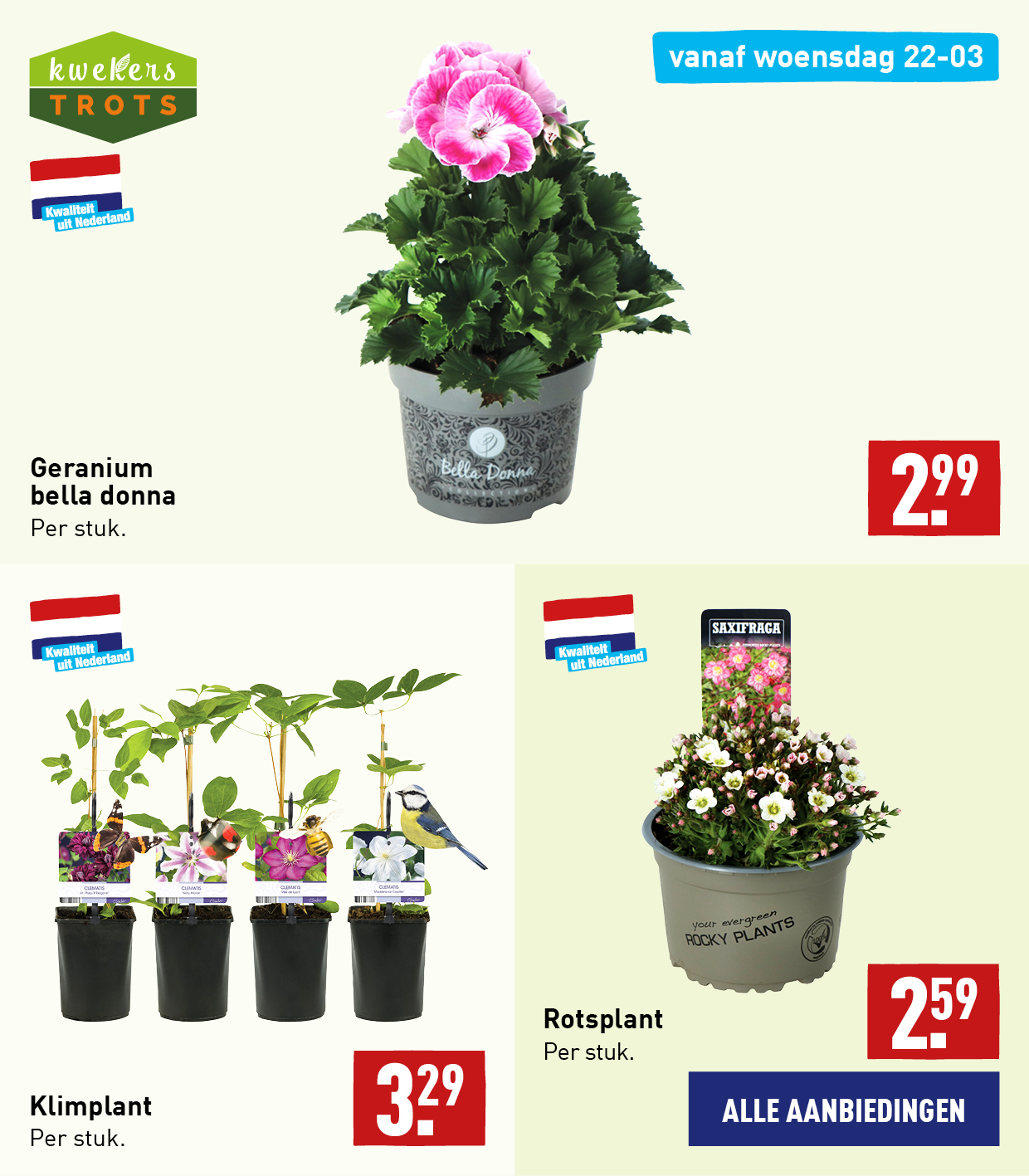 Bloemen en planten